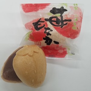 【手作り】苺もなかとかぼちゃどら焼き詰め合わせ【贈答対応】　M046-002