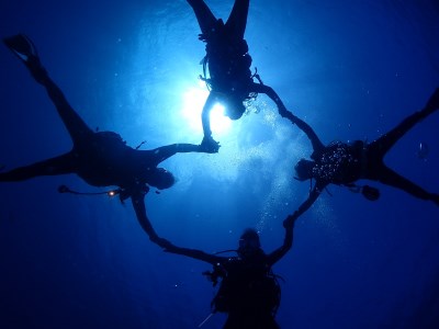 三浦半島城ケ島の海で体験ダイビング　M064-001