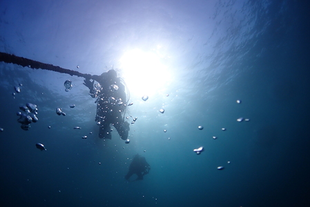 三浦半島城ヶ島でボートファンダイビング　M064-003