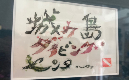 海から出たゴミを利用したシーボーンアート 海藻アート作り体験　M064-007