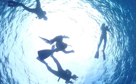 三浦半島 城ヶ島の海でスノーケリング　M064-008