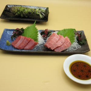 【色よし味よし鮮度よし】三崎まぐろ 中トロ2パック・赤身2パックセット【神奈川県漁連】　M077-008