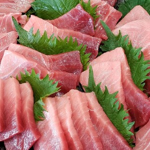 三崎港直送 天然南まぐろ詰め合わせ　M078-001-02