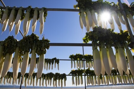 【期間限定・数量限定】三浦のたくあん「まいるど」（大樽18リットル容器入り）　M080-003-02