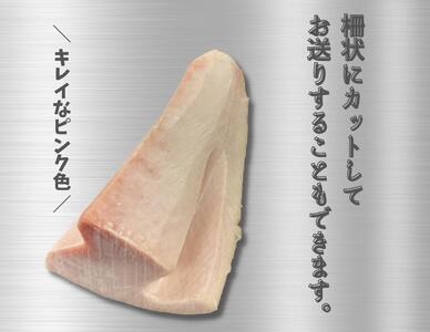 特選ビンチョウマグロ【トロビンチョウ】　M081-005