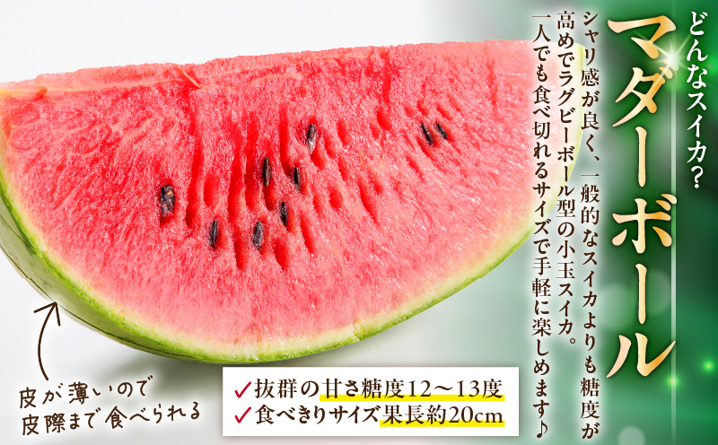 マダーボールスイカ　M001-002
