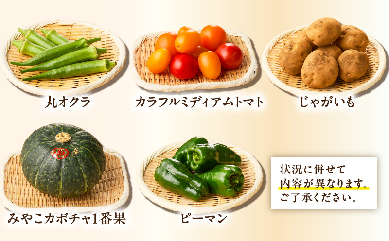 ボリューム満点！季節の野菜詰め合わせ（夏）　M001-004-01