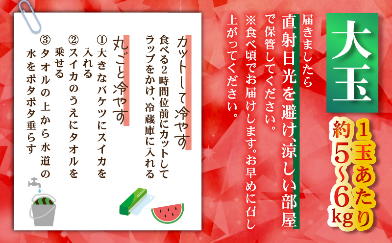 有機肥料で育てた大玉スイカ【赤い彗星】（2個入り）　M002-004