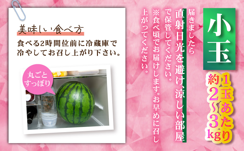 有機肥料で育てた小玉スイカ【姫甘泉】（4個入り）　M002-005