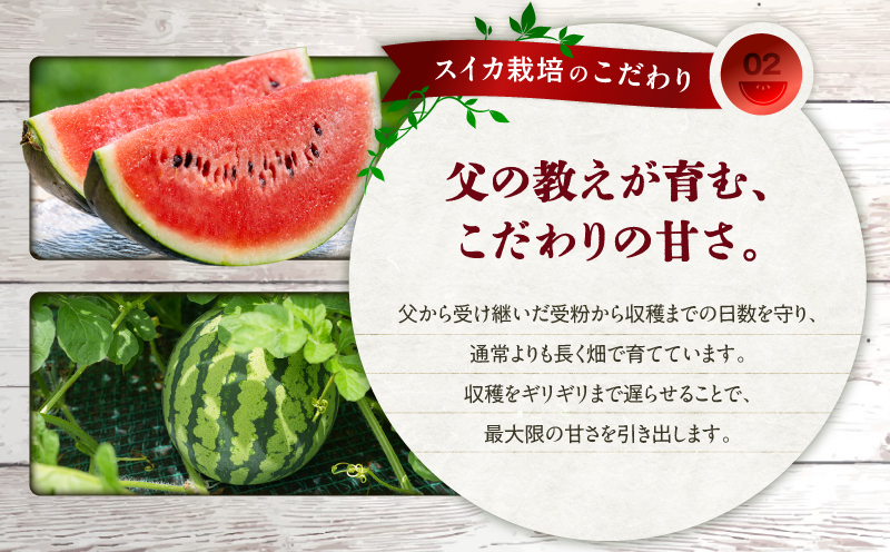 【三浦農家直送】小玉スイカ（4個入り）　M003-001