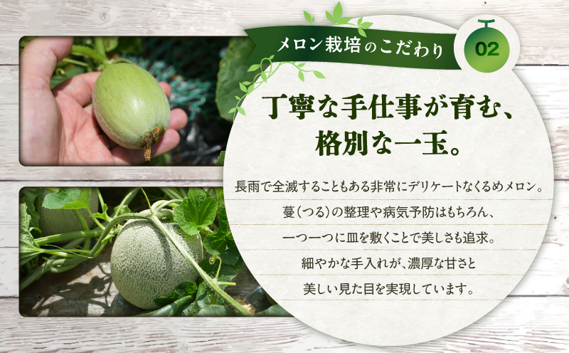 【三浦農家直送】くるめメロン（2個入り）　M003-006