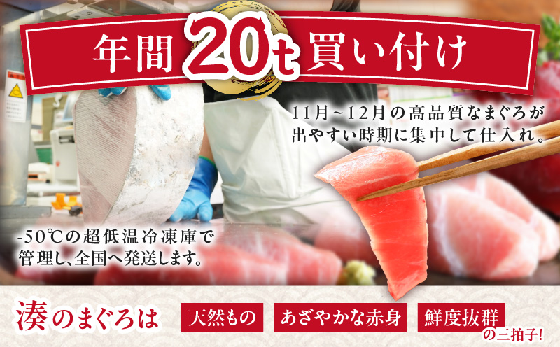 【お正月用】本まぐろ赤身2柵（2025年12月30日にお届け）2～3人前　M005-037