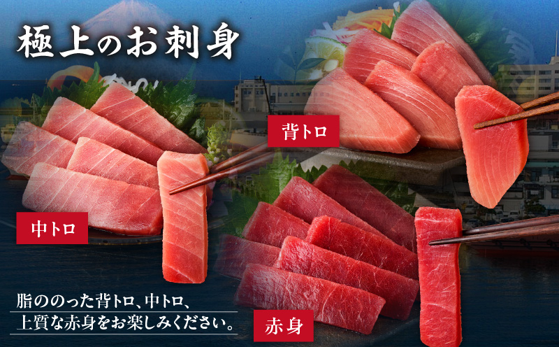 本物の味をお届け！厳選！天然三崎まぐろ＜希少部位＞背トロ＆中トロ・赤身　M005-039
