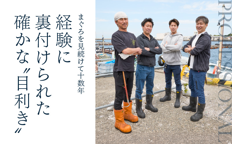 【期間限定 ねぎとろ付き】まぐろ専門の老舗問屋からお届け！とろける！上質 天然本まぐろ中トロ1kg分　M020-012-cp