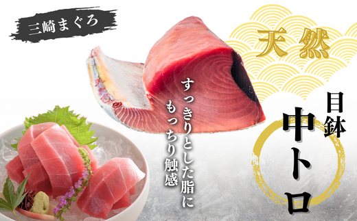 【年末・正月用/12月28日お届け】天然 目鉢まぐろ お祝い宴セット 中トロ200g 赤身200g 迎春 三崎まぐろ 三崎恵水産　M020-020-3