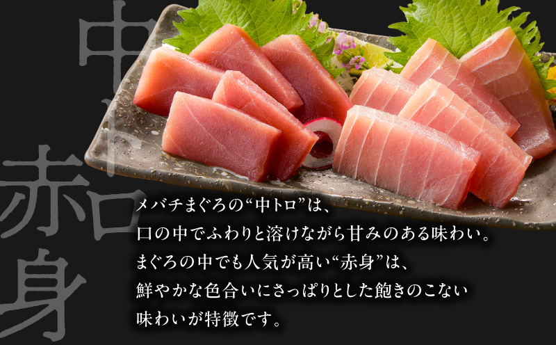 【高島屋バイヤーセレクション】三崎まぐろお試し詰合せ　M038-001