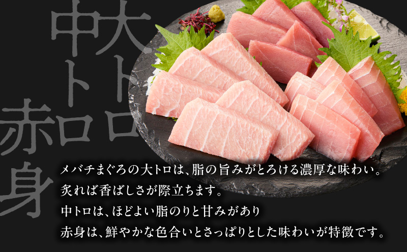 【高島屋バイヤーセレクション】三崎港直送 天然目鉢まぐろセット　M038-002