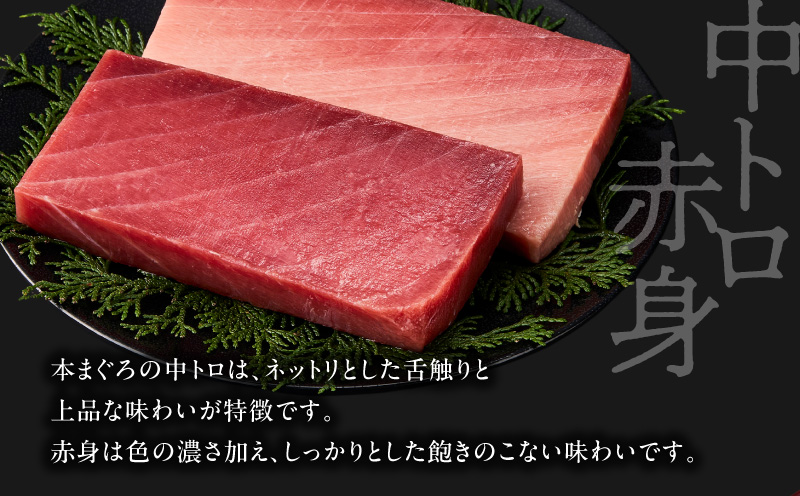 【高島屋バイヤーセレクション】天然本まぐろ詰合せ＜梅＞　M038-004