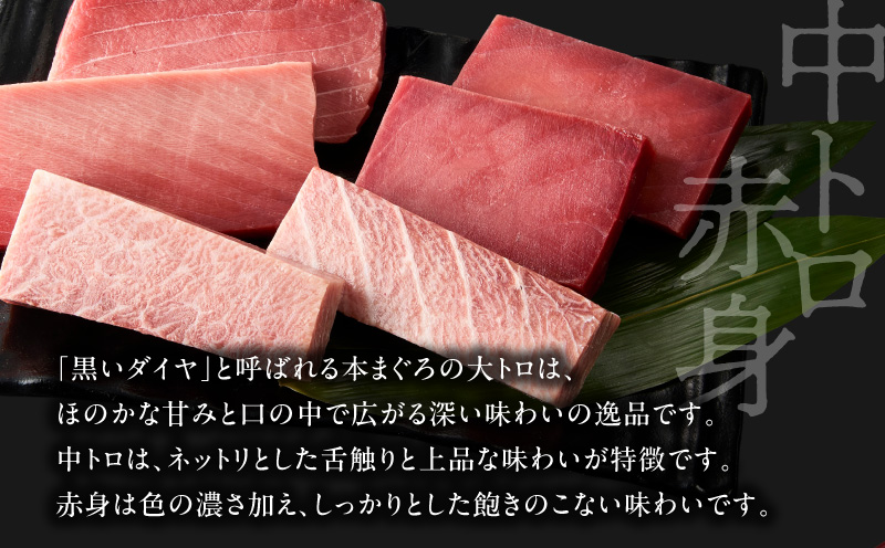 【高島屋バイヤーセレクション】天然本まぐろ詰合せ＜松＞　M038-008