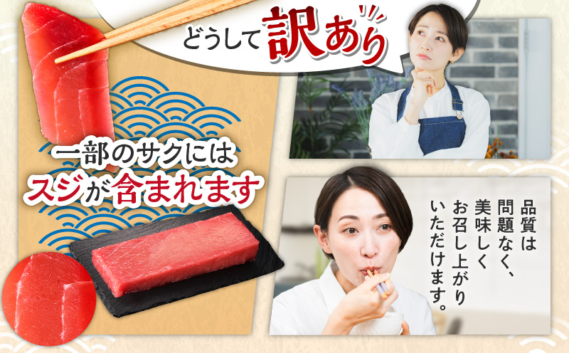 【全6回定期便】老舗三崎まぐろ問屋から直送！天然マグロ赤身 3kgをお届け　M063-T09