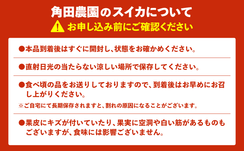 【高糖度】三浦の大玉スイカ1玉【露地栽培】　M072-001-01
