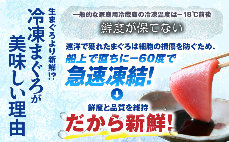 【神奈川県漁連】＜小分けパックで使いやすい＞天然三崎まぐろ 漬け10P＆タタキ10P　M077-001