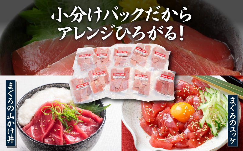 【神奈川県漁連】＜小分けパックで使いやすい＞切れてる天然マグロ 100g×10パック　M077-005