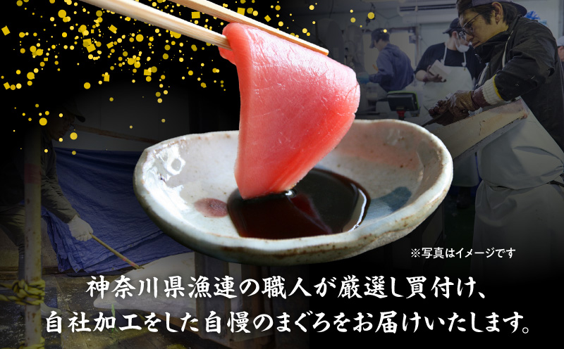 神奈川県漁連 三崎まぐろ 赤身サク 150g×2P　M077-010