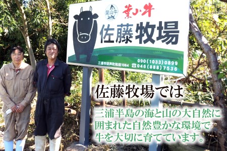 【神奈川県産黒毛和牛】三浦市の佐藤牧場が育てた葉山牛 切り落とし4P　M079-006-03