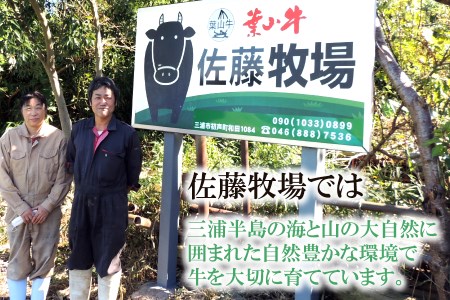 【神奈川県産黒毛和牛】三浦市の佐藤牧場が育てた葉山牛 肩ロースすき焼き肉4P　M079-007-02