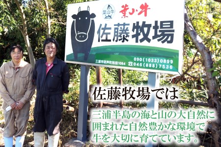 【神奈川県産黒毛和牛】三浦市の佐藤牧場が育てた葉山牛満腹セット（切落し＋肩ロース）　M079-009