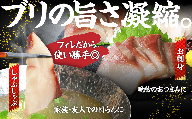 活〆新鮮ぶりフィレ 2枚（半身）　M079-010-02