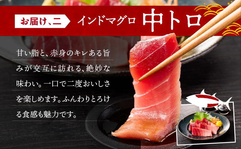 三崎マグロ 鈴木水産 天然インドマグロ（大トロ・中トロ・赤身）セット　M105-001