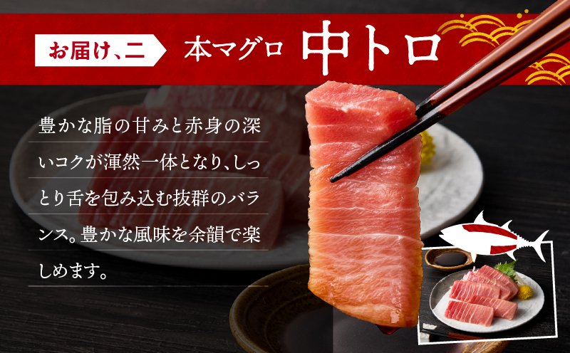 三崎マグロ 鈴木水産 天然本マグロ（大トロ・中トロ・赤身）セット　M105-002