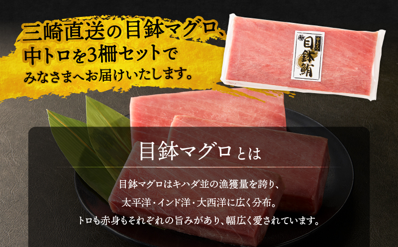 三崎マグロ 鈴木水産 天然マグロ（中トロ3柵）セット　M105-003