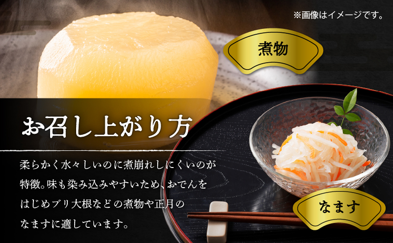 オリジナルBOX入り 希少な三浦大根 1本　M109-003