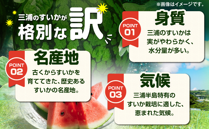 神奈川県三浦市産大玉すいか（2個）　M109-007
