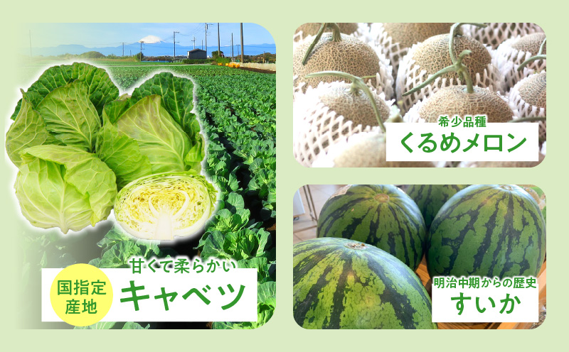 神奈川県三浦市【返礼品なし】応援寄附 農業に関する事業を応援（1,000円）　MN-1000-1