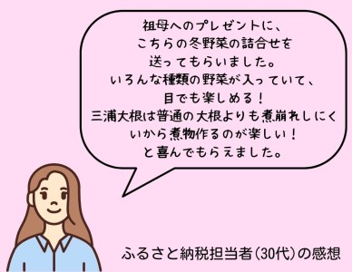 ボリューム満点！季節の野菜詰め合わせ（冬）　M001-004-02