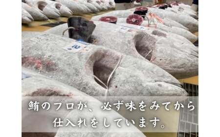 天然三崎まぐろ 中トロ・赤身 柵小切れ　M005-044