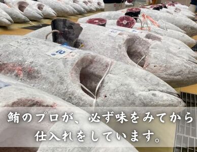 【全5回定期便】天然！三崎まぐろ漬け・希少部位（背トロ）のまぐろ丼セット＜流水解凍で簡単＞　M005-T05