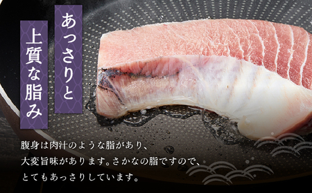 まぐろステーキ　M024-007