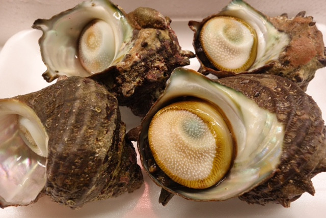 【海の幸を簡単に食べよう！】まぐろ＆さざえお手軽セット　M030-001