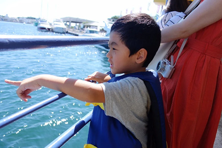 水中観光船にじいろさかな号乗船券ペアチケット＋【三崎港うらり】手ぶらでBBQ機材貸出ペアチケット　M033-005