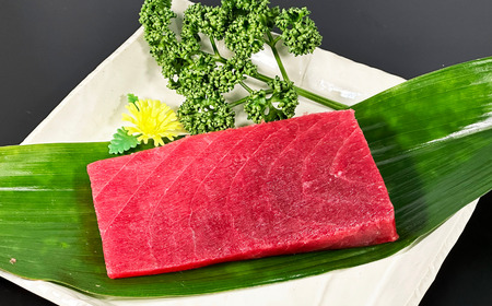 創業以来130年 三崎港老舗問屋「西松」厳選 南鮪400g　M040-004