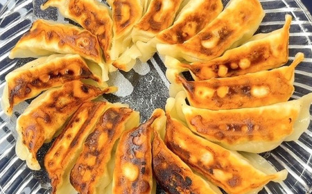 ＜数量限定＞まぐろ問屋の原料にとことんこだわった 三崎港直送めかじき餃子　M040-006