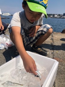 【城ケ島】手ぶらでファミリーフィッシング ペア利用券　M042-003