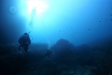 三浦半島城ヶ島でボートファンダイビング　M064-003