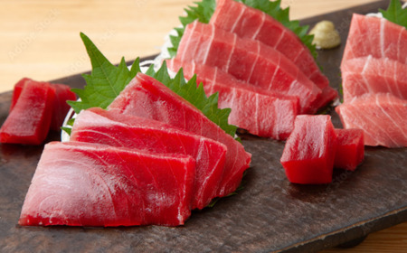 神奈川県漁連 天然本マグロ 中トロ・赤身セット　M077-012-03