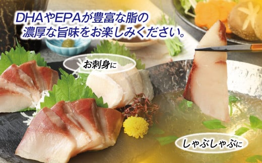 活〆新鮮ぶりフィレ 1枚（半身）　M079-010-01